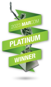 23_Platinum-Site-Bug